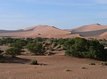 Namib desert Sossuslvei Namibie leden 2009 P1130211.jpg